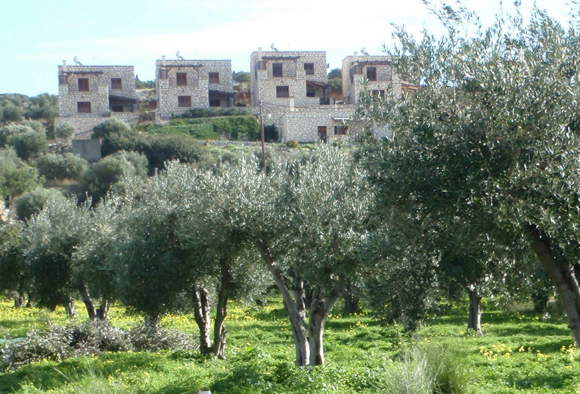 Ville Du Soleil - Exclusive Homes With Rustic Charm And Sensational Views Of The Mediterranean Sea Makrýgialos Exteriör bild